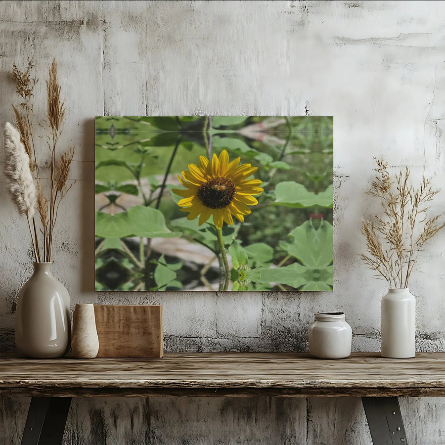 Sunflower Canvas Wall Art | Bee in Garden Nature Print | Premium 1.25 Inch Gallery Wrap | Botanical Home Decor Gift