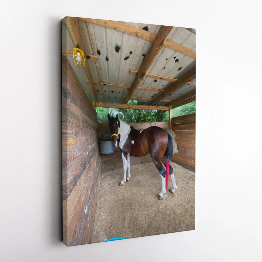 Paint Horse Canvas Art | Rustic Farmhouse Barn Wall Decor | Premium 1.25" Gallery Wrap | Equestrian Gift for Horse Lovers