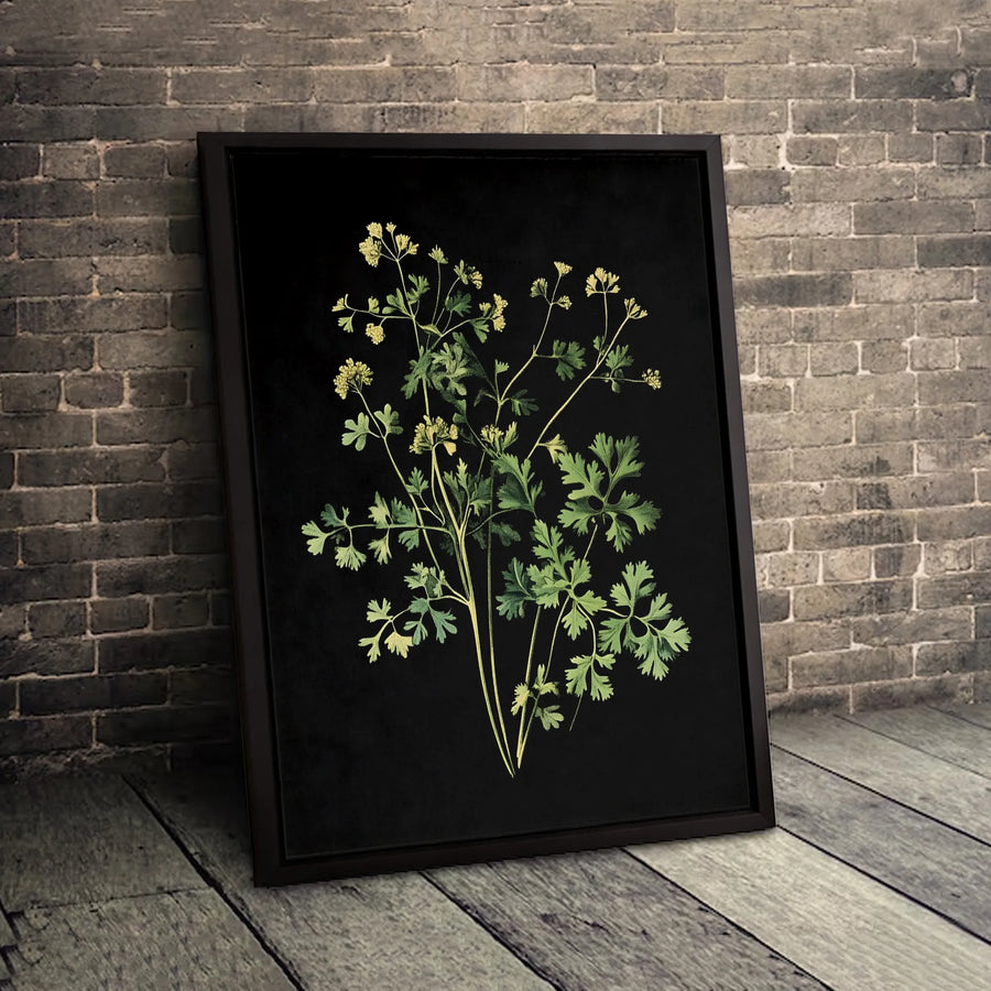 Vintage Botanical Wall Art | Dark Moody Herb Illustration Print | Premium Gallery Wrapped Canvas | Minimalist Nature Home Decor Gift