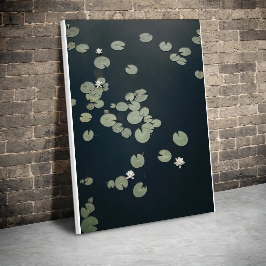 Water Lily Canvas Wall Art | Minimalist Lily Pad Photography | Premium Gallery Wrapped Canvas | Zen Botanical Home Decor Gift