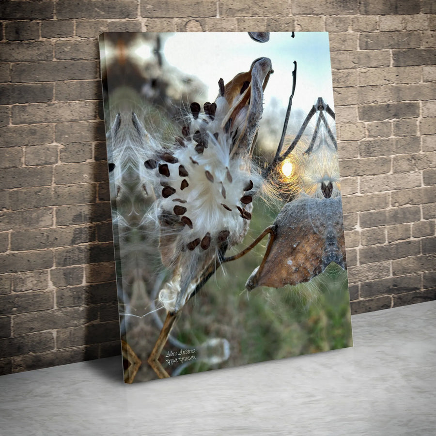 Milkweed Seed Pod Wall Art | Mirrored Sunset Botanical Canvas | Premium Gallery Wrap Print | Nature-Inspired Home Decor for Nature Lovers