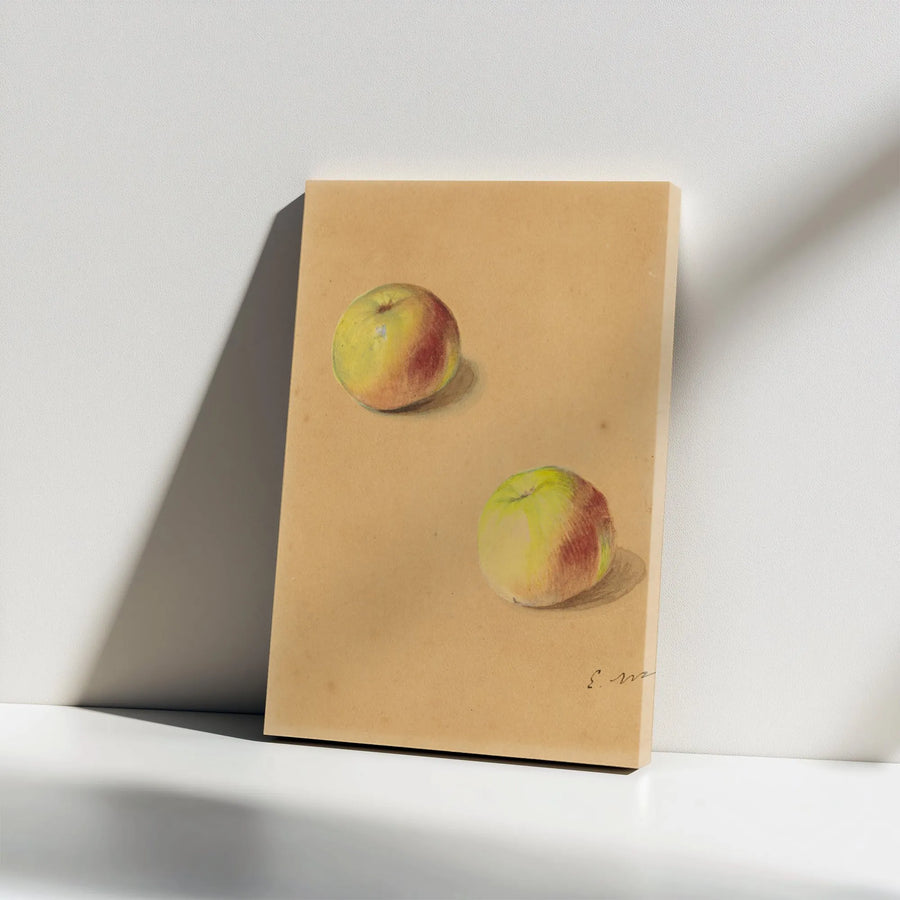 Still Life Apple Canvas Print | Vintage Fruit Study Illustration | Premium Gallery Wrapped Art | Farmhouse Kitchen Decor Gift