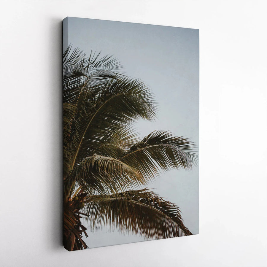 Palm Tree Vertical Canvas | Minimalist Tropical Beach Photography | 1.25" Thick Gallery Wrap | Modern Coastal Home Decor Gift