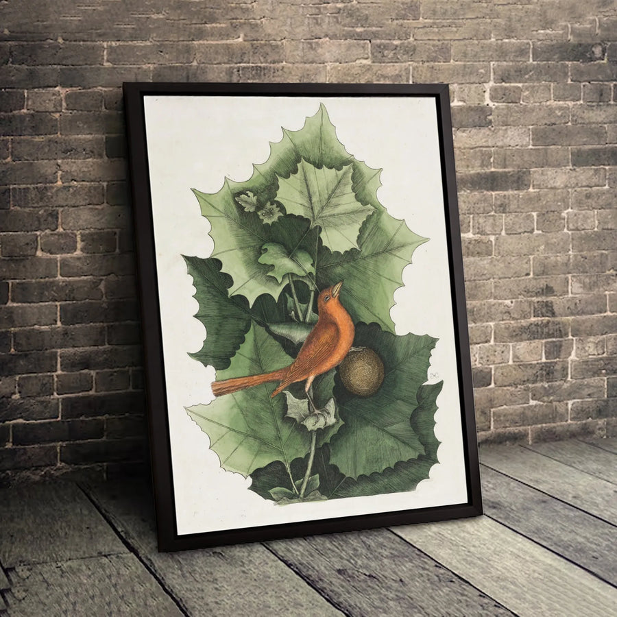 Vintage Bird Botanical Canvas Wall Art | Orange Songbird & Green Leaves Illustration | Gallery-Quality 1.25 Inch Profile | Elegant Nature Home Decor