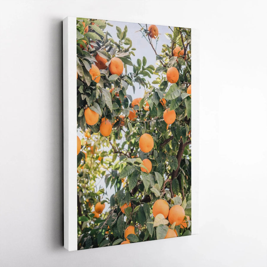 Orange Tree Vertical Canvas | Seville Spain Photography Print | Premium Gallery-Wrapped Wall Art | Mediterranean Kitchen Decor & Foodie Gift