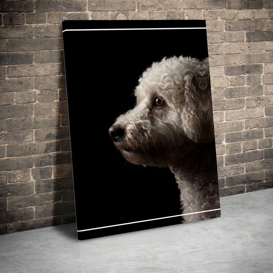 Poodle Portrait Canvas Wall Art | Dramatic Dog Photography Print | Premium Gallery Wrapped Canvas | Unique Gift for Pet Lover