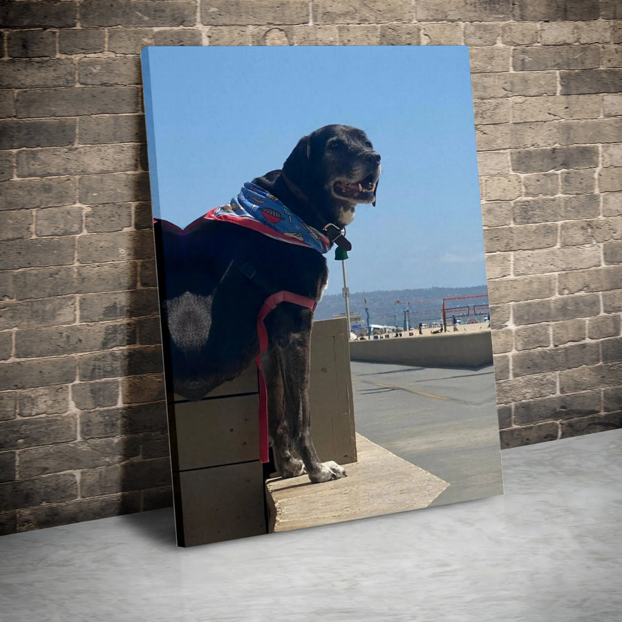 Black Dog Canvas Wall Art | Majestic Pet on a Sunny Beach Photo | Premium Gallery Wrap Canvas | Gift for Dog Lovers & Coastal Home Decor