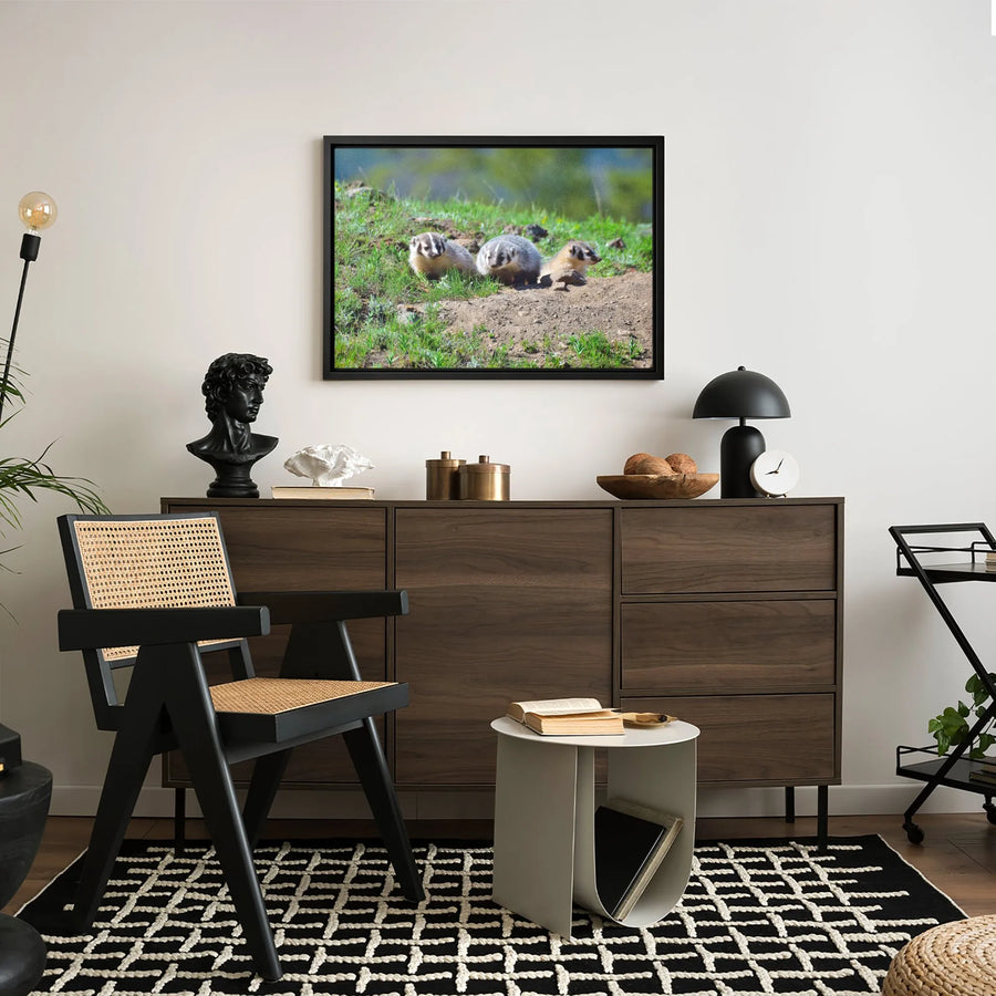 American Badger Cubs Wall Art | Three Wildlife Badger Pups in Meadow | Premium Gallery Wrapped Canvas | Nature Lover Home Decor Gift