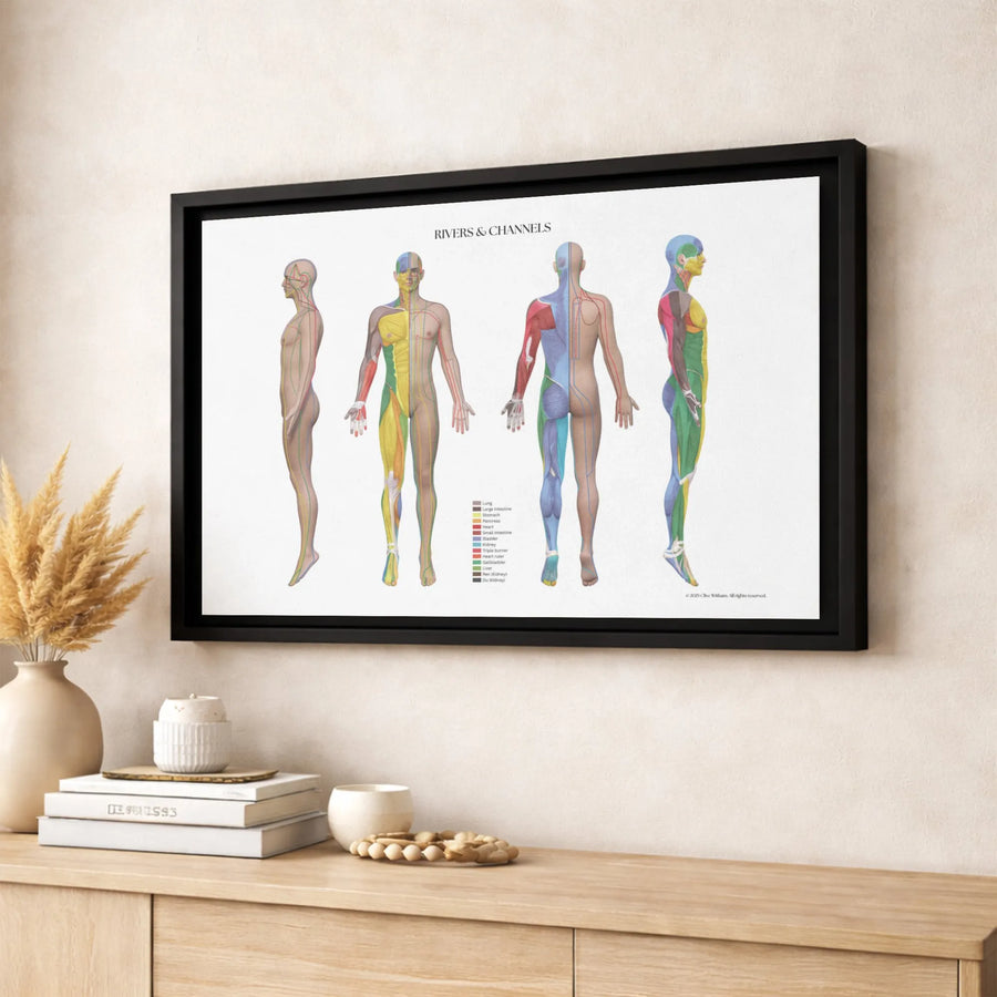 Acupuncture Meridian Muscle Chart Canvas | Rivers & Channels Anatomical Wall Art | Premium Gallery-Wrapped Print | Medical Office & Healing Studio Decor