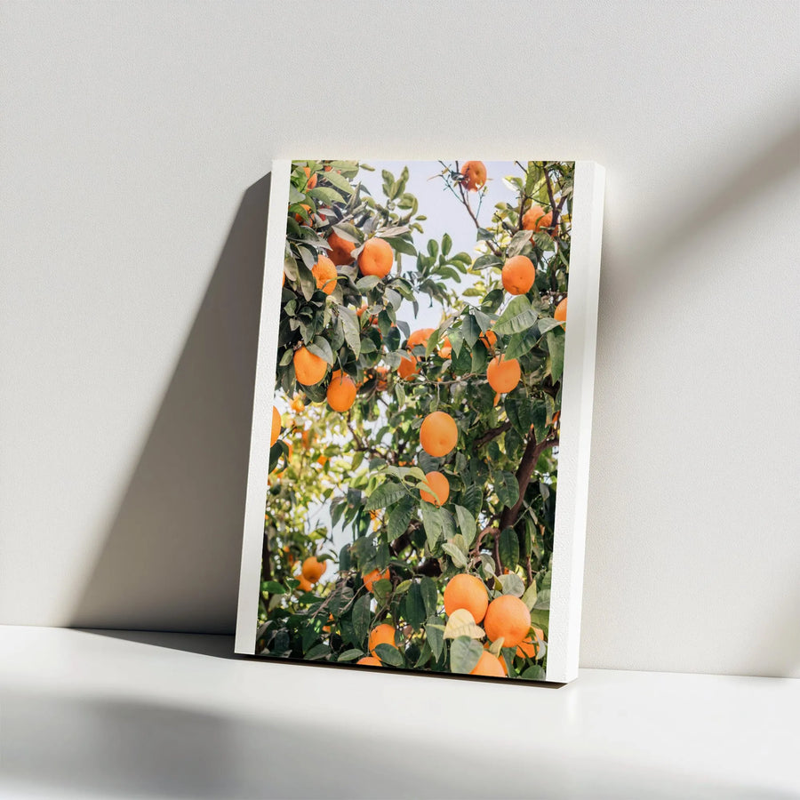 Orange Tree Vertical Canvas | Seville Spain Photography Print | Premium Gallery-Wrapped Wall Art | Mediterranean Kitchen Decor & Foodie Gift