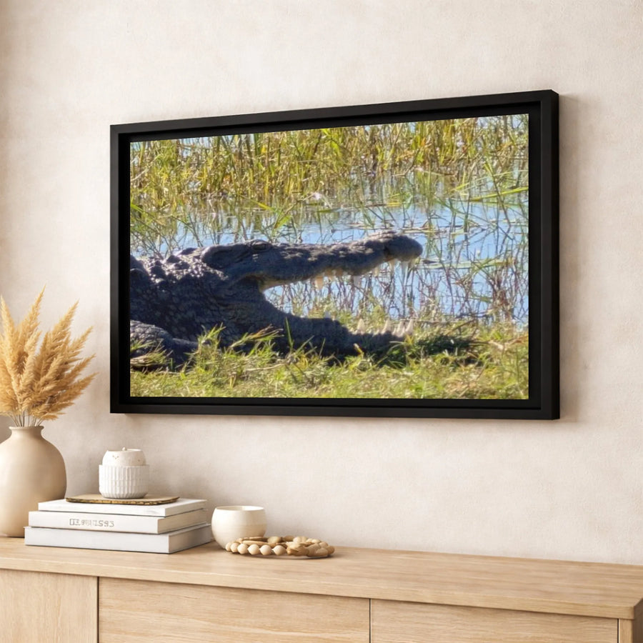 Alligator Canvas Wall Art | Swamp Wildlife Nature Photography | Premium 1.25-Inch Gallery Wrap | Home Office Decor Gift