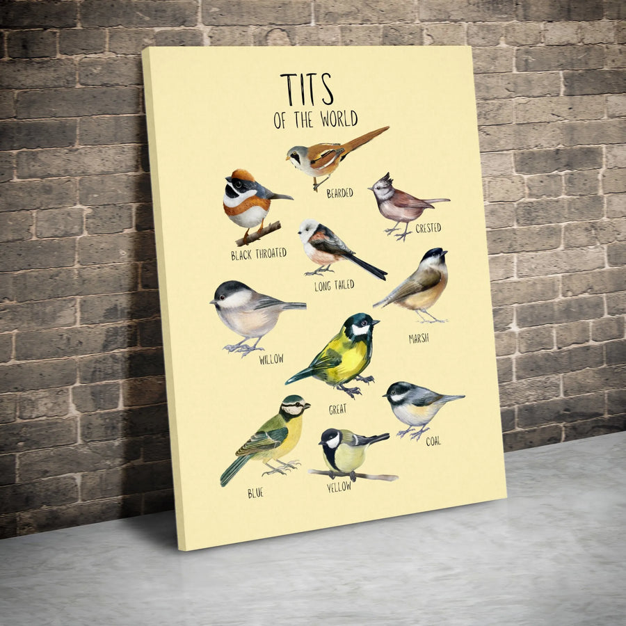 Tits Of The World Bird Art Canvas | Educational Species Chart Print | Premium Gallery Wrap Wall Decor | Unique Gift For Birdwatchers & Naturalists
