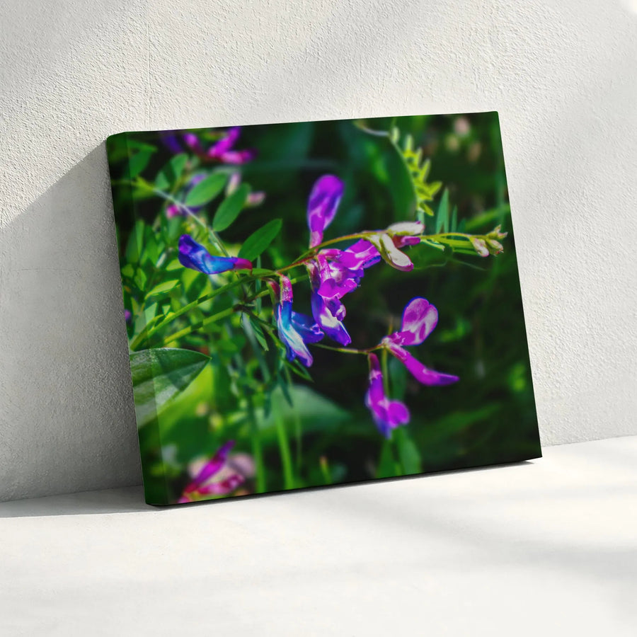 Purple Wildflower Canvas Print | Macro Botanical Floral Art | Premium Gallery Wrapped Wall Decor | Nature Inspired Gift for Home Office