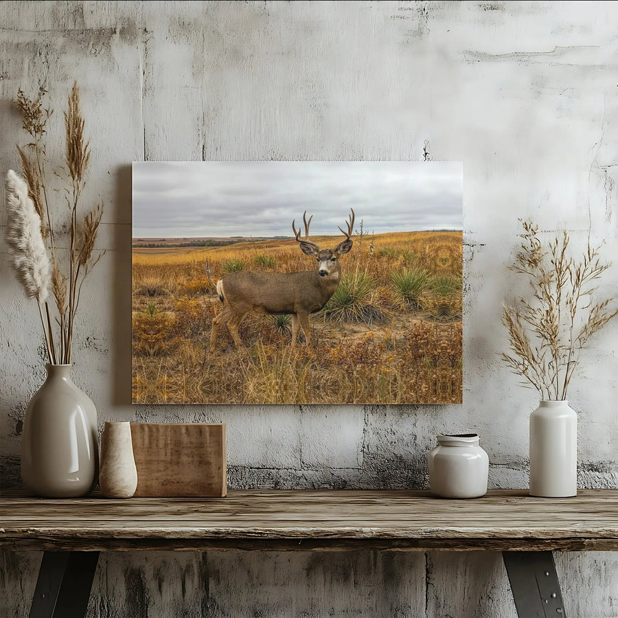 Mule Deer Canvas Wall Art | Realistic Wildlife Photography Print | Gallery Quality Thick Canvas | Rustic Home Decor Gift for Hunters