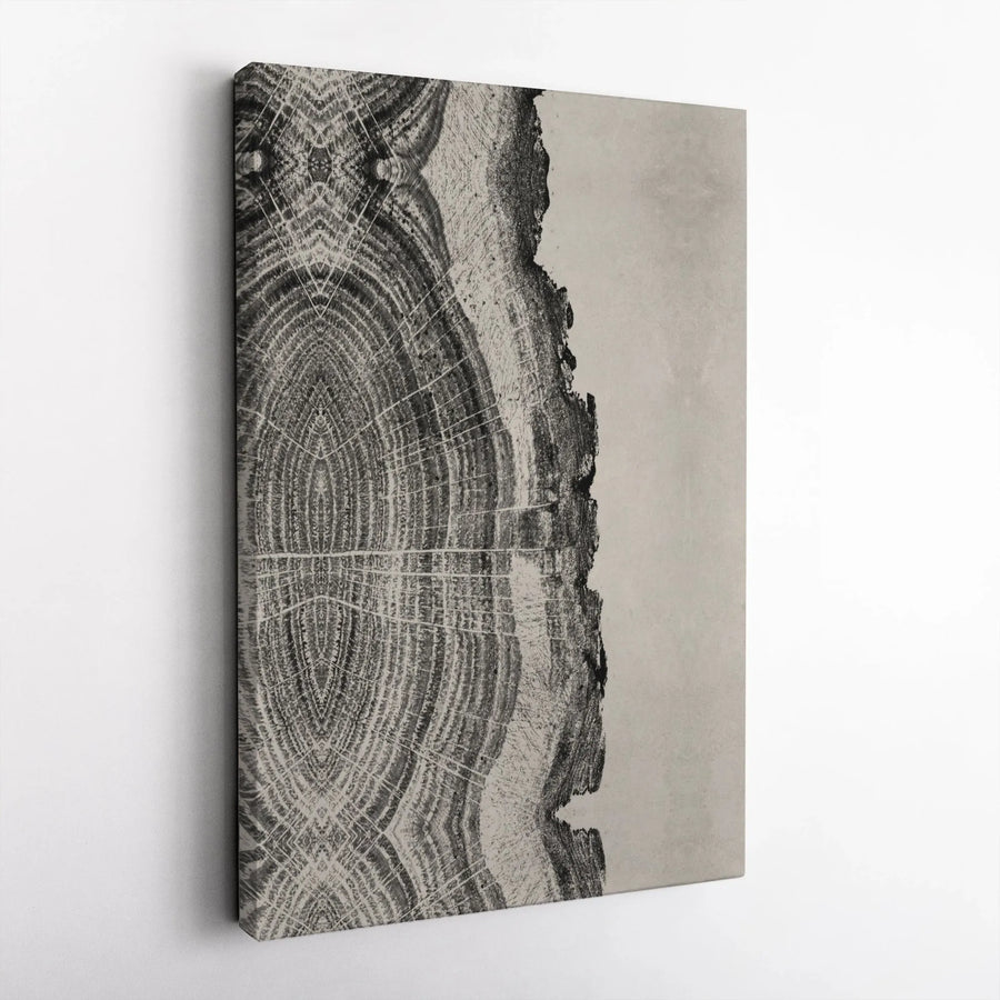 Tree Ring Wall Art Canvas | Minimalist Wood Slice Design | Premium Thick Gallery Canvas | Modern Rustic Home Decor Gift