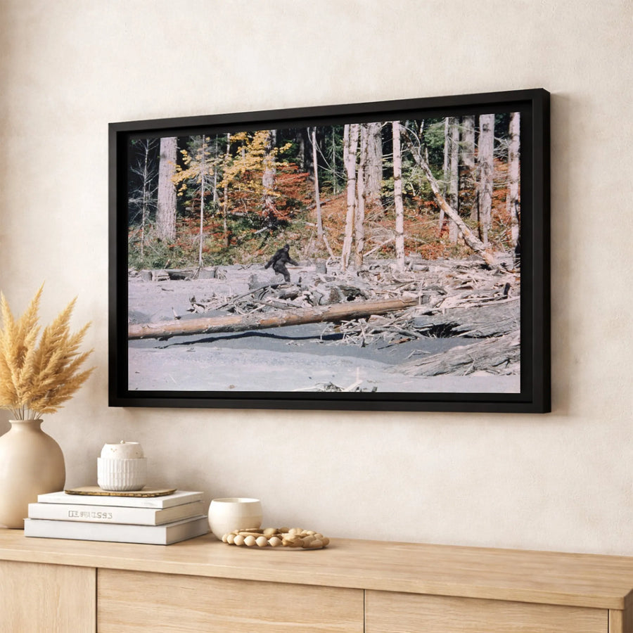Bigfoot Canvas Wall Art | Authentic Patterson-Gimlin Film Still | Premium Gallery-Wrapped Print | Unique Cryptozoology Gift for Enthusiasts