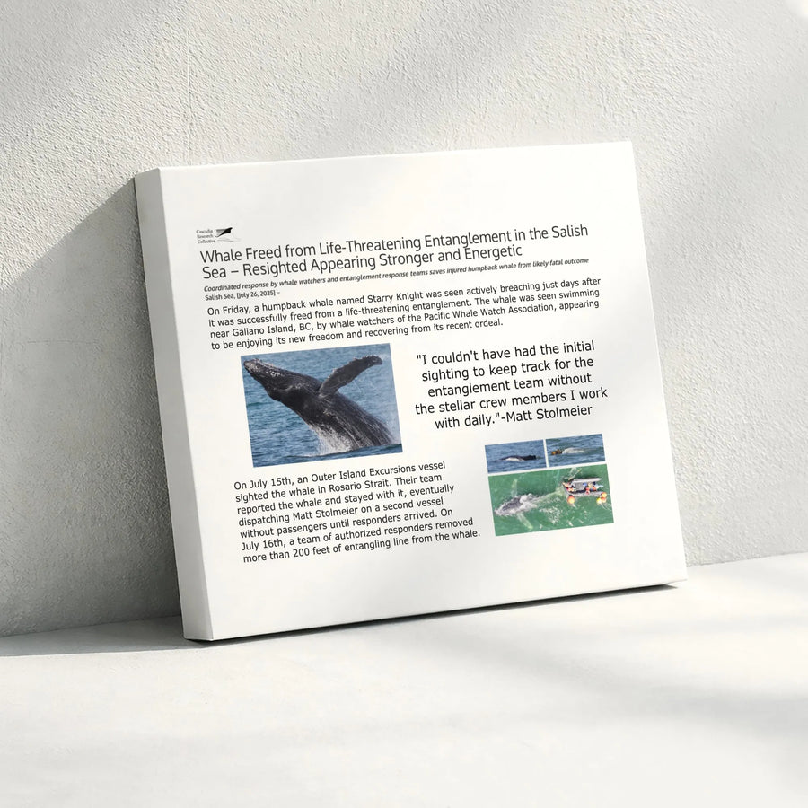 Humpback Whale Rescue Canvas Art | Salish Sea Wildlife Print | Premium Gallery-Wrapped 1.25" Profile | Marine Life Conservation Decor Gift