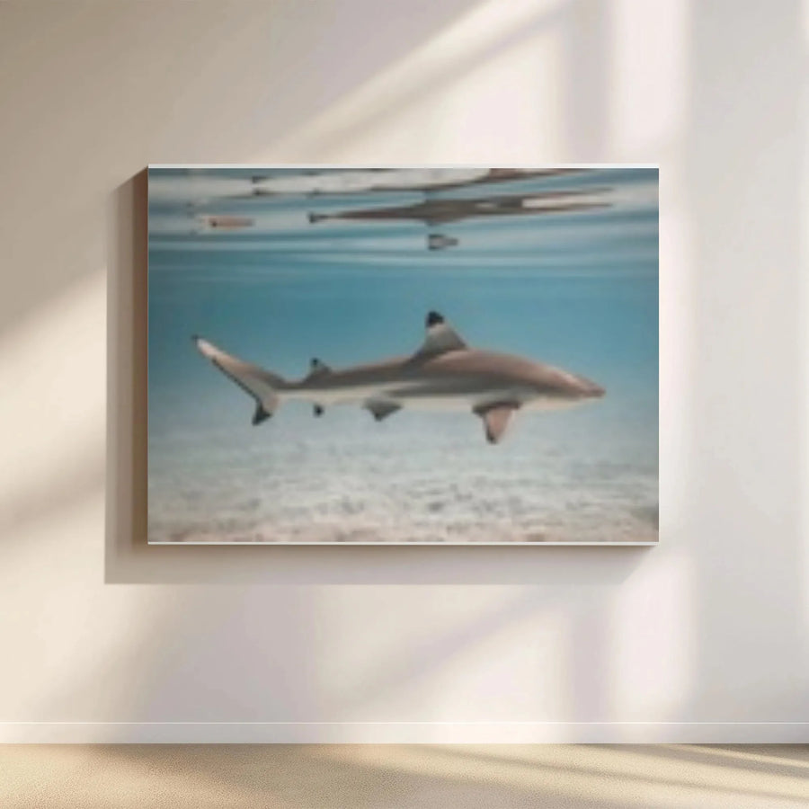 Blacktip Reef Shark Canvas Wall Art | Underwater Ocean Photography | Premium Fade-Resistant Print | Coastal Beach House Decor & Ocean Lover Gift