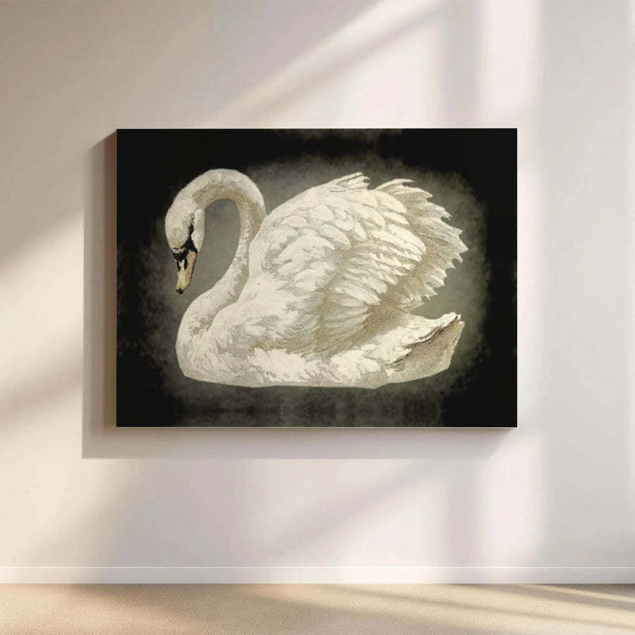 White Swan Wall Art | Moody Dark Aesthetic Canvas Print | 1.25 Inch Premium Gallery Wrap | Elegant Nature Home Decor Gift