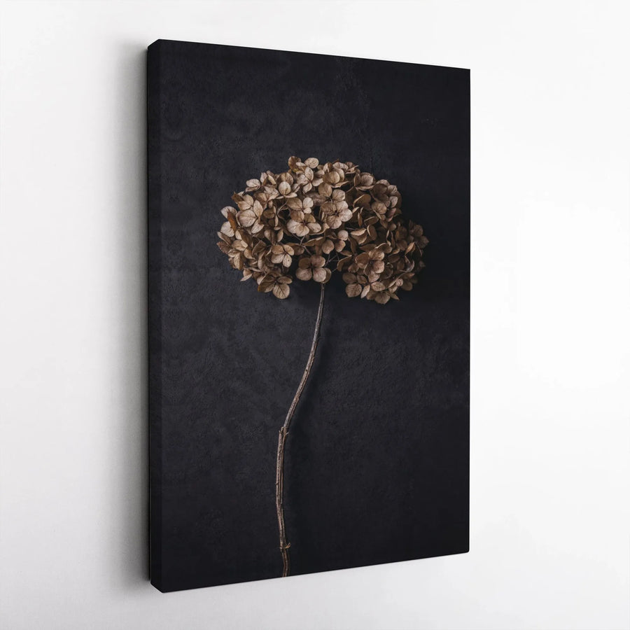 Dried Hydrangea Flower Wall Art | Moody Minimalist Botanical Canvas | Premium Gallery Wrap Decor | Sophisticated Home Office Gift