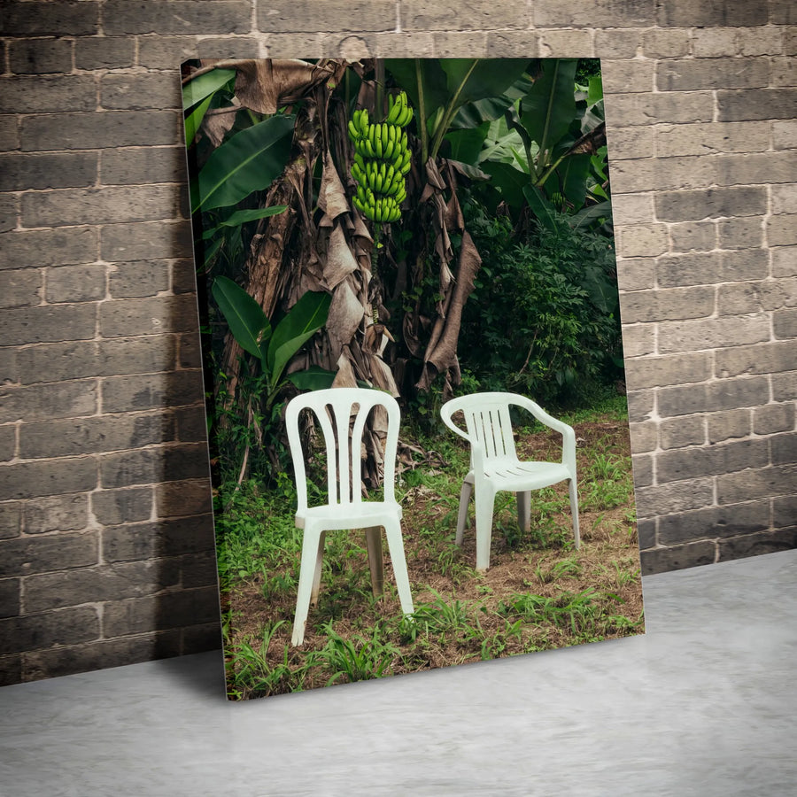 Tropical Banana Tree Wall Art | Surreal White Chairs Garden Scene | Gallery Quality Canvas Print | Modern Home Decor Gift