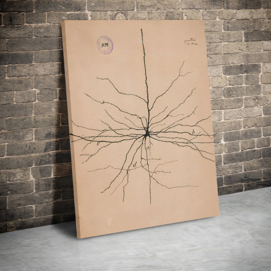 Vintage Neuron Canvas | Cajal Scientific Illustration | Premium Gallery Wrap Wall Art | Neurologist Gift for Doctor Office Decor
