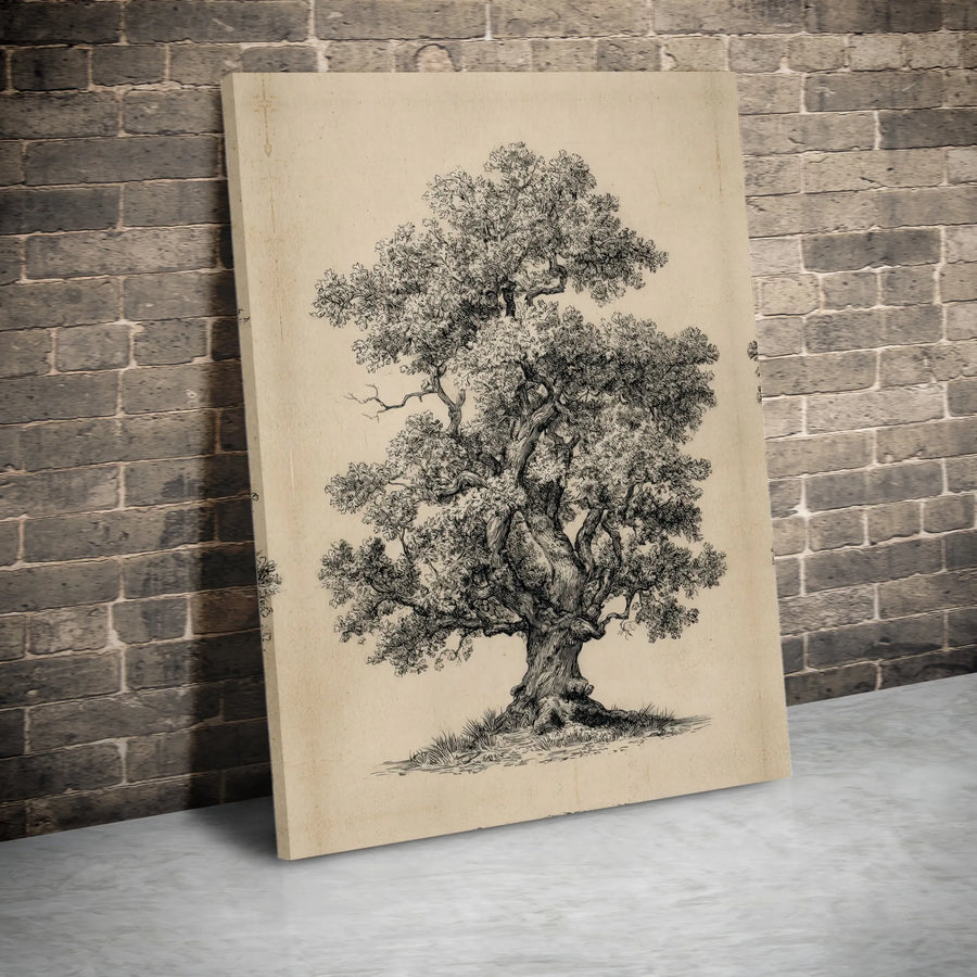 Vintage Oak Tree Canvas Wall Art | Botanical Sketch Illustration | Premium Gallery Wrapped Canvas | Rustic Farmhouse Decor Gift