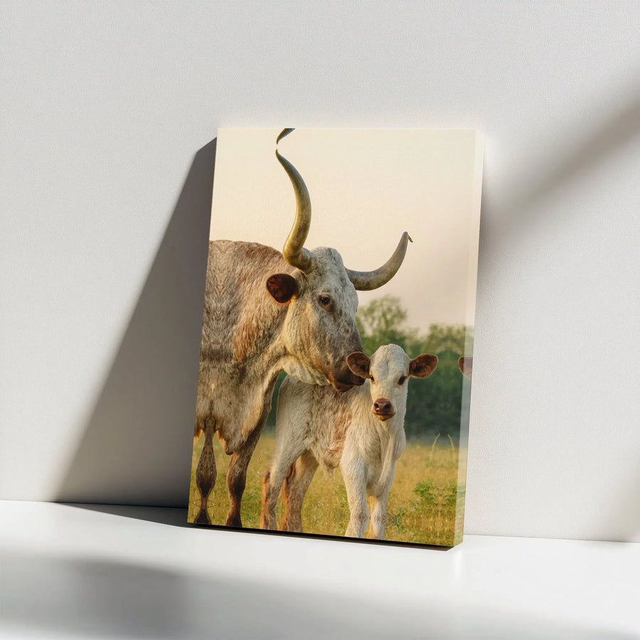 Texas Longhorn Cow and Calf Wall Art | Rustic Farmhouse Animal Canvas Print | 1.25" Gallery Wrap | Western Country Home Decor Gift