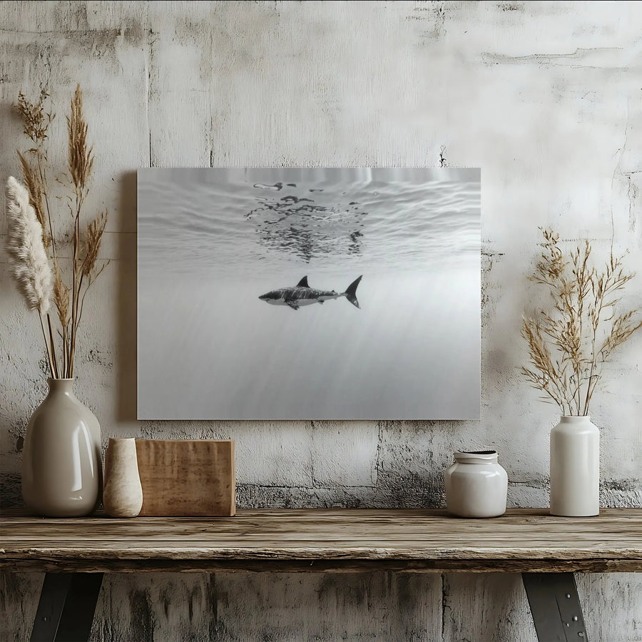 Great White Shark Canvas Art | Underwater Ocean Wildlife Photography | Premium Gallery Wrap Wall Decor | Masculine Office & Living Room Gift