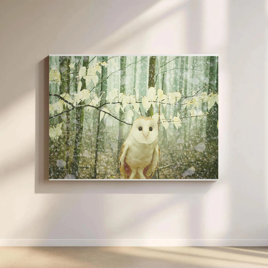 Barn Owl Canvas Wall Art | Snowy Woodland Bird Scene | Premium Gallery Wrap Print | Rustic Farmhouse Home Decor Gift for Nature Lovers