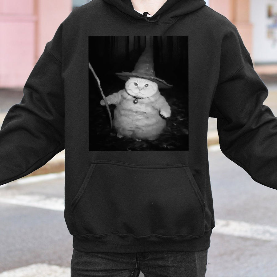 Wizard Cat Hoodie | Funny Magical Kitten Graphic Sweatshirt | Premium Cotton Blend | Gift for Cat Lovers & Meme Fans