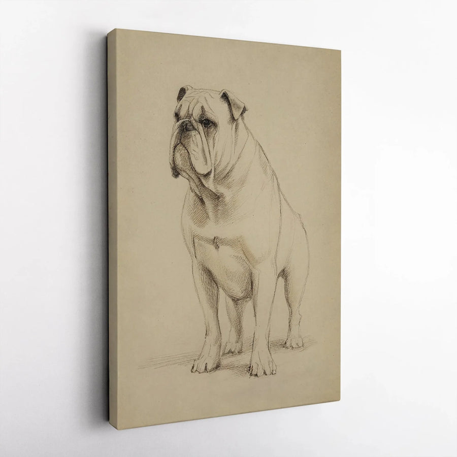English Bulldog Wall Art | Vintage Pencil Sketch Dog Portrait | Premium Stretched Canvas Print | Gift for Dog Lovers and Pet Owners