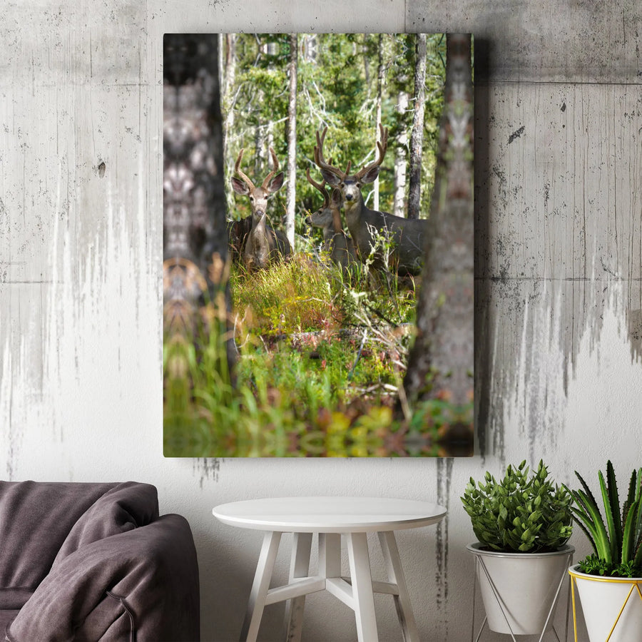 Deer Canvas Print | Realistic Mule Deer Forest Photography | Premium Gallery Wrapped Canvas | Rustic Cabin Decor Gift for Hunter