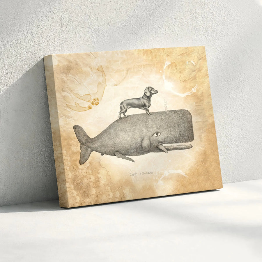 Dachshund on Whale Canvas Wall Art | Vintage Scientific Illustration | Premium Fade-Resistant Print | Surreal Home Decor Gift for Dog Lover