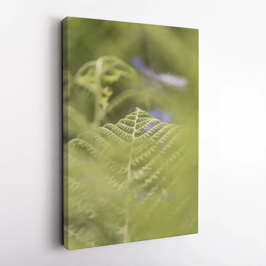 Botanical Fern Vertical Canvas | Lush Greenery Photography Print | 1.25" Thick Gallery Wrap | Modern Minimalist Nature Lover Gift