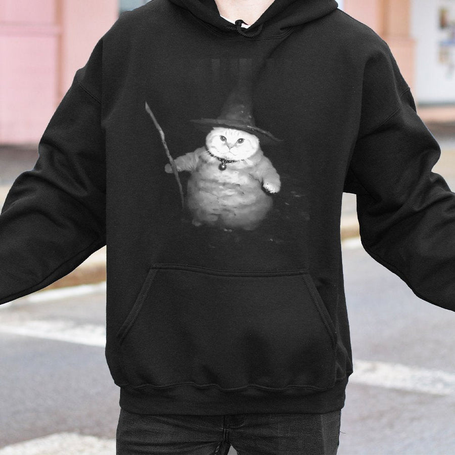 Wizard Cat Hoodie | Funny Magical Kitten Graphic Sweatshirt | Premium Cotton-Poly Blend | Cute Fantasy Animal Gift for Cat Lovers