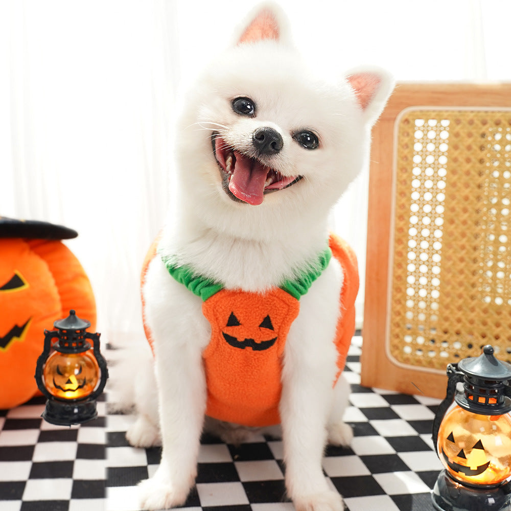 Small white dog sitting in the pumpkin costume, embroidered face on the front