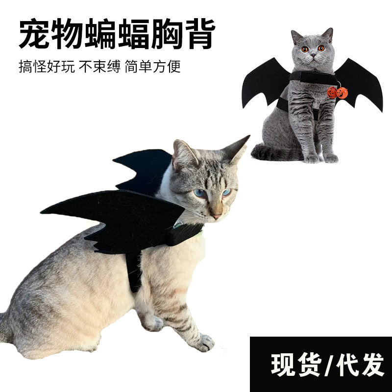 Cat wearing the felt bat wings, from behind