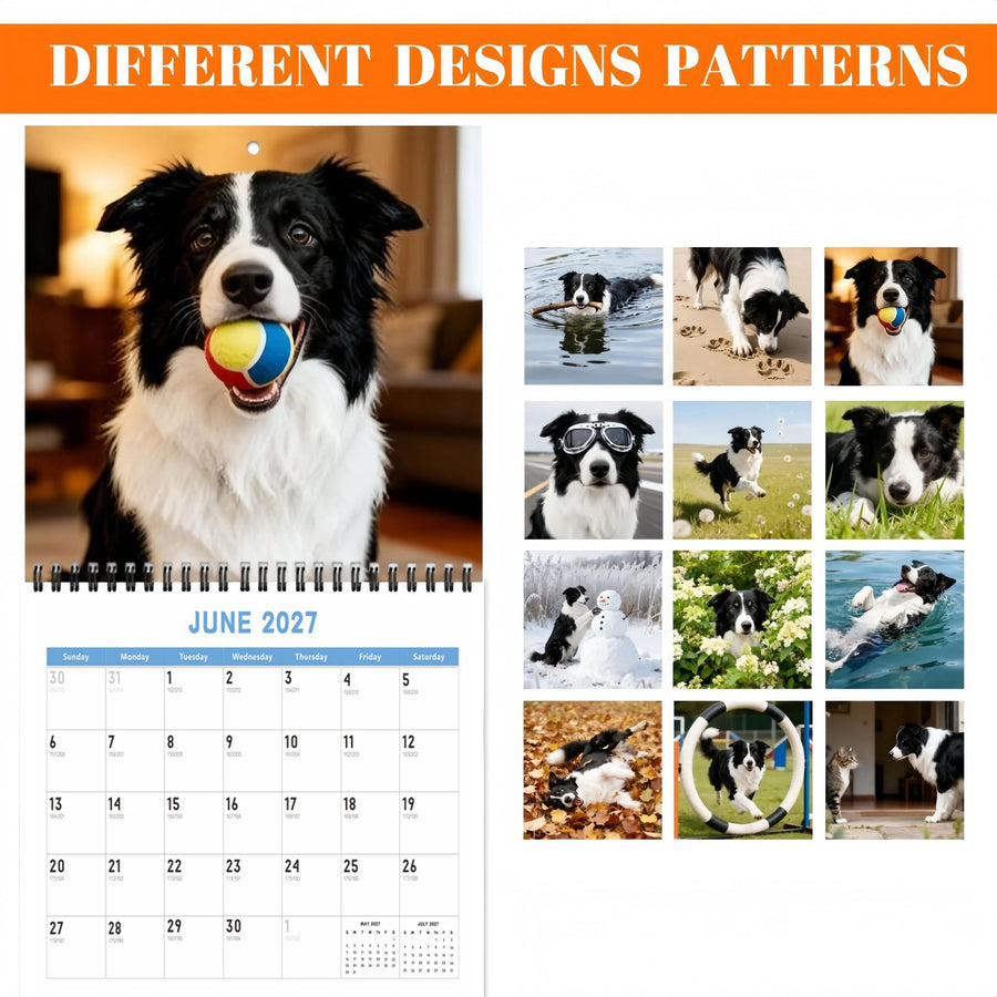 Border Collie 2027 Wall Calendar