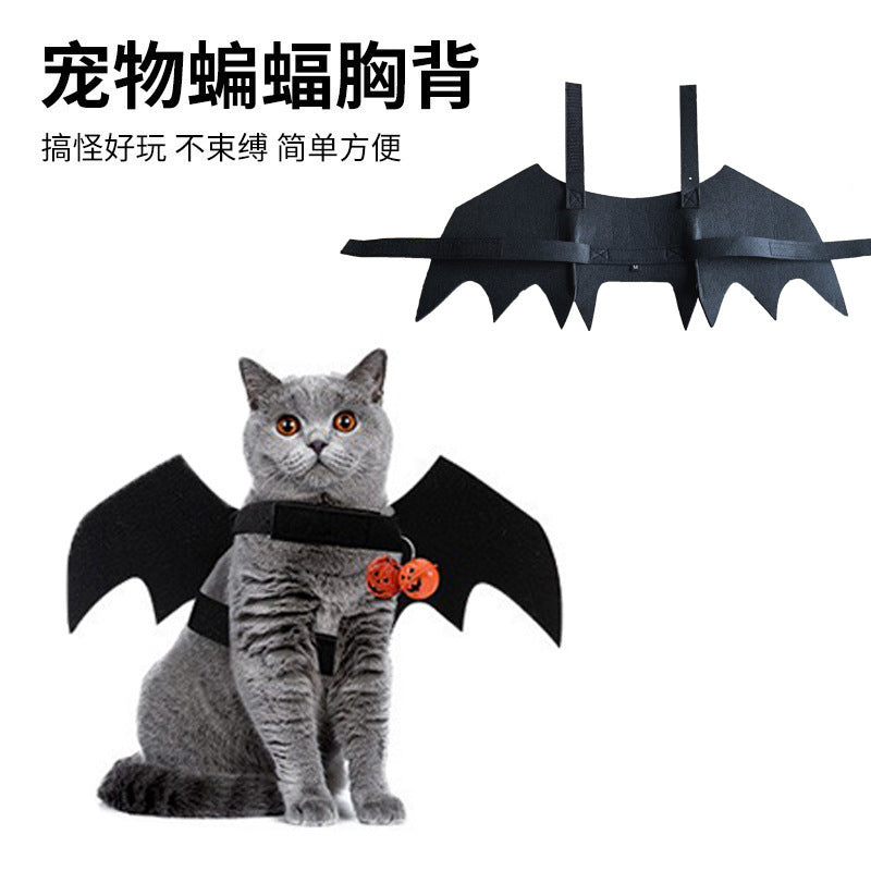 Cat in black felt bat wings, front view