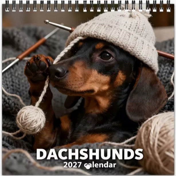 Dachshund Puppy 2027 Wall Calendar