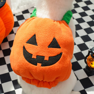 Dog pumpkin costume from behind, embroidered jack-o-lantern face