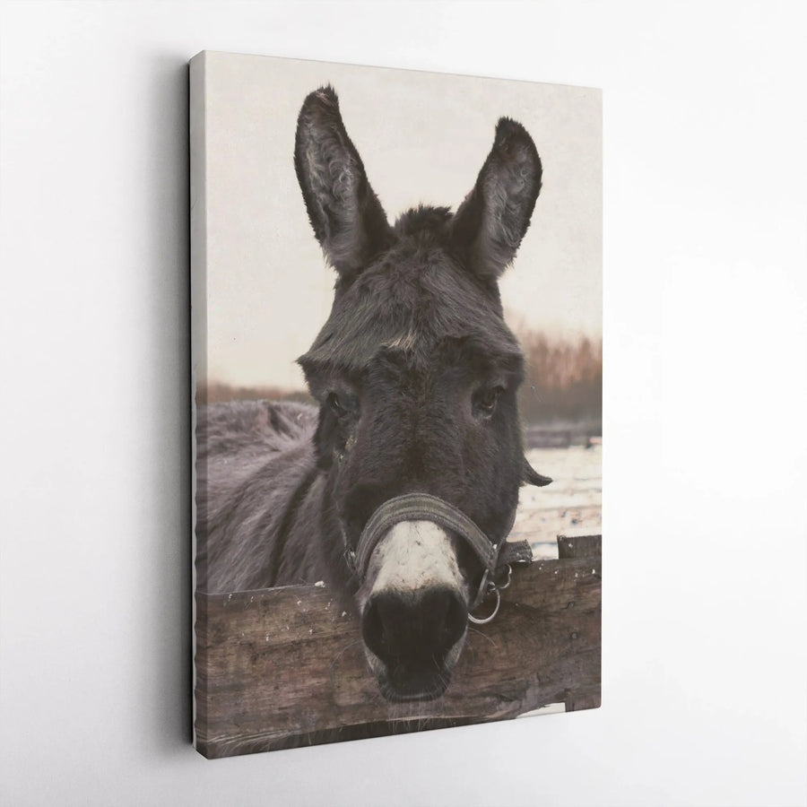 Donkey Portrait Wall Art | Rustic Farmhouse Animal Canvas Print | 1.25-Inch Premium Gallery Wrap | Farm Animal Decor Gift for Country Home Lovers