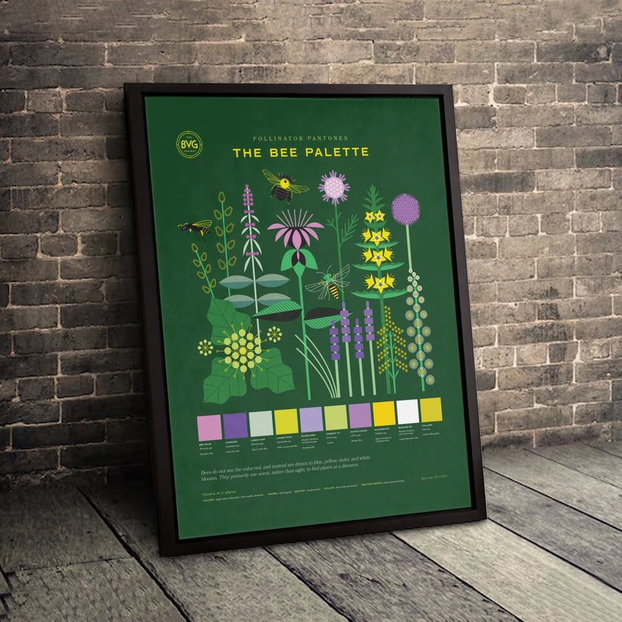 Pollinator Plant Chart Canvas | The Bee Palette Botanical Infographic Art | Premium Gallery-Wrap Wall Decor | Nature Gift for Gardeners