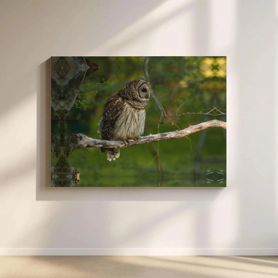 Barred Owl Wall Art Canvas | Nature Wildlife Photography Print | Gallery-Quality 1.25" Profile | Rustic Home Decor & Bird Lover Gift