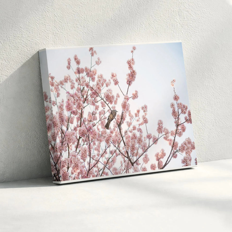 Cherry Blossom Bird Wall Art | Japanese Sakura Tree Photography | Premium Canvas Print | Nature Inspired Home Decor Gift