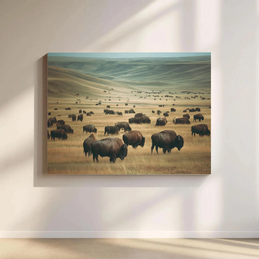 American Bison Canvas Wall Art | Panoramic Prairie Herd Landscape | Premium Gallery Wrap Print | Western Wildlife Home Decor Gift