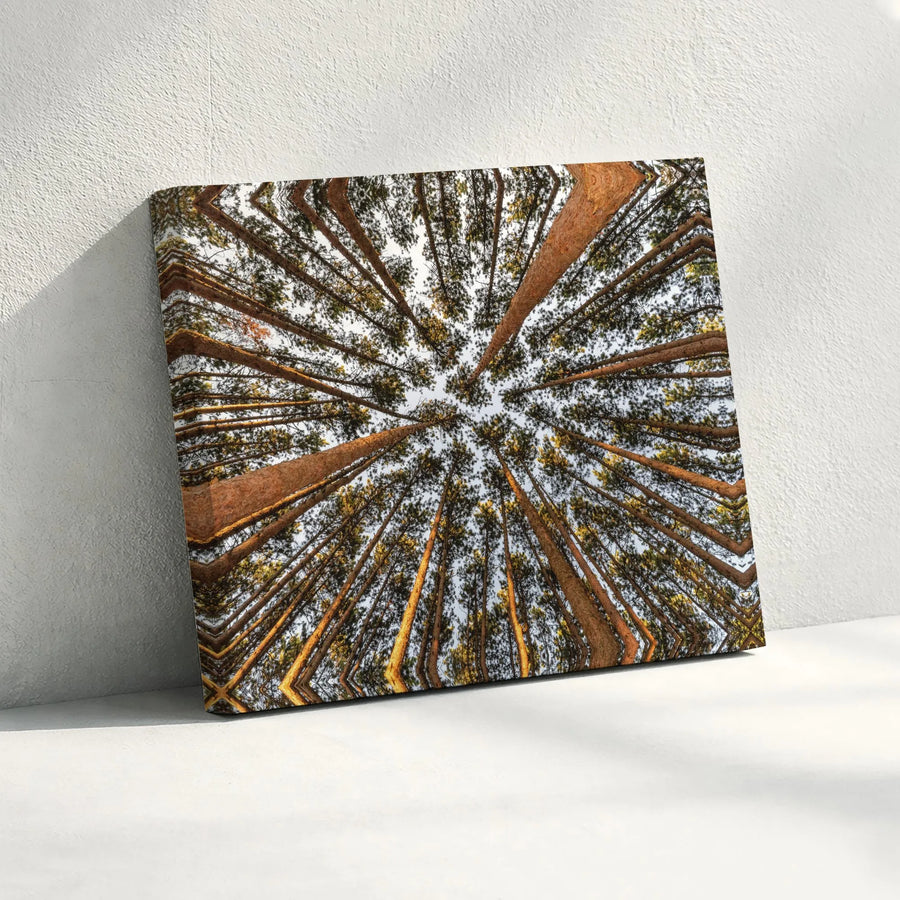 Forest Canopy Canvas Print | Abstract Kaleidoscope Pine Tree Art | Premium Gallery Wrapped Canvas | Modern Cabin Wall Decor Gift