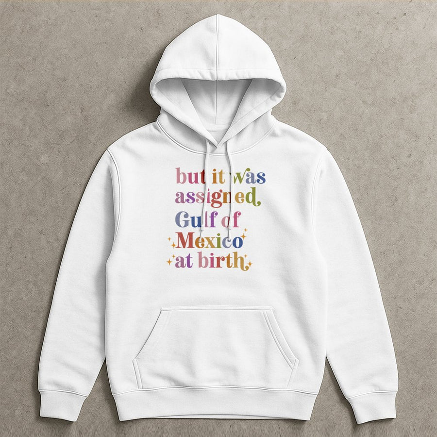 Assigned Gulf of Mexico At Birth Hoodie | Retro Colorful Text Graphic | Premium Cotton Blend | Funny Coastal Geography Gift for Ocean Lovers