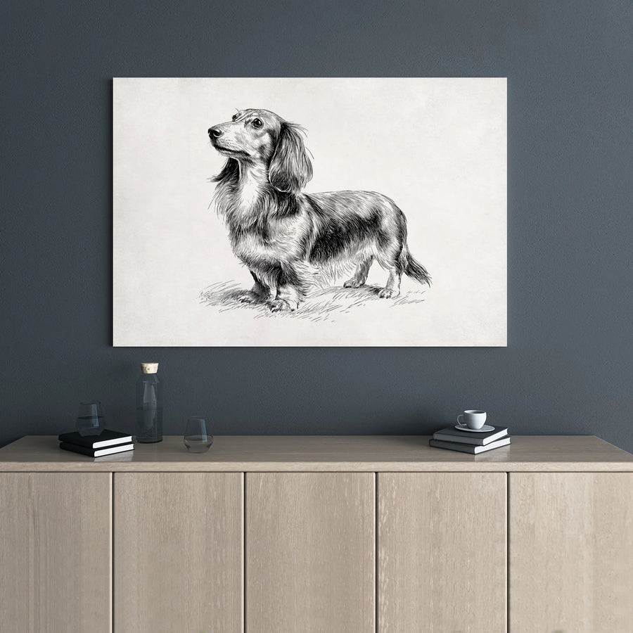Long-Haired Dachshund Dog Wall Art | Vintage Pencil Sketch Print | 1.25 Inch Gallery Wrap Canvas | Premium Dog Lover Home Decor Gift